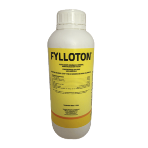 Fylloton-x-Lt