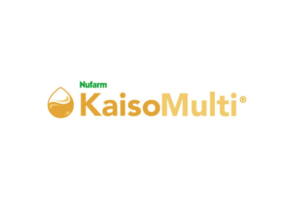 Kaiso-Multi