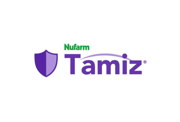 Tamiz-Logo