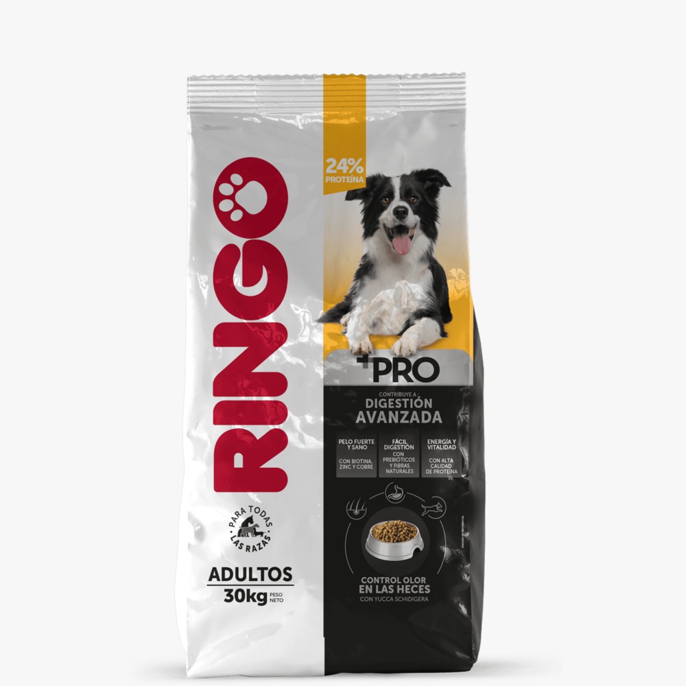 RINGO +PRO