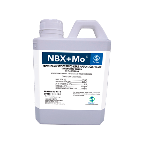 NBX + Mo