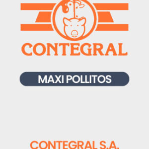 Maxi Pollito x Kl