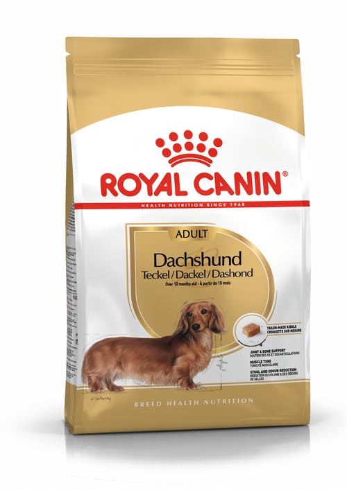 Dachshund Adult Royal Canin ® x 1.5 kilos - Imagen 2