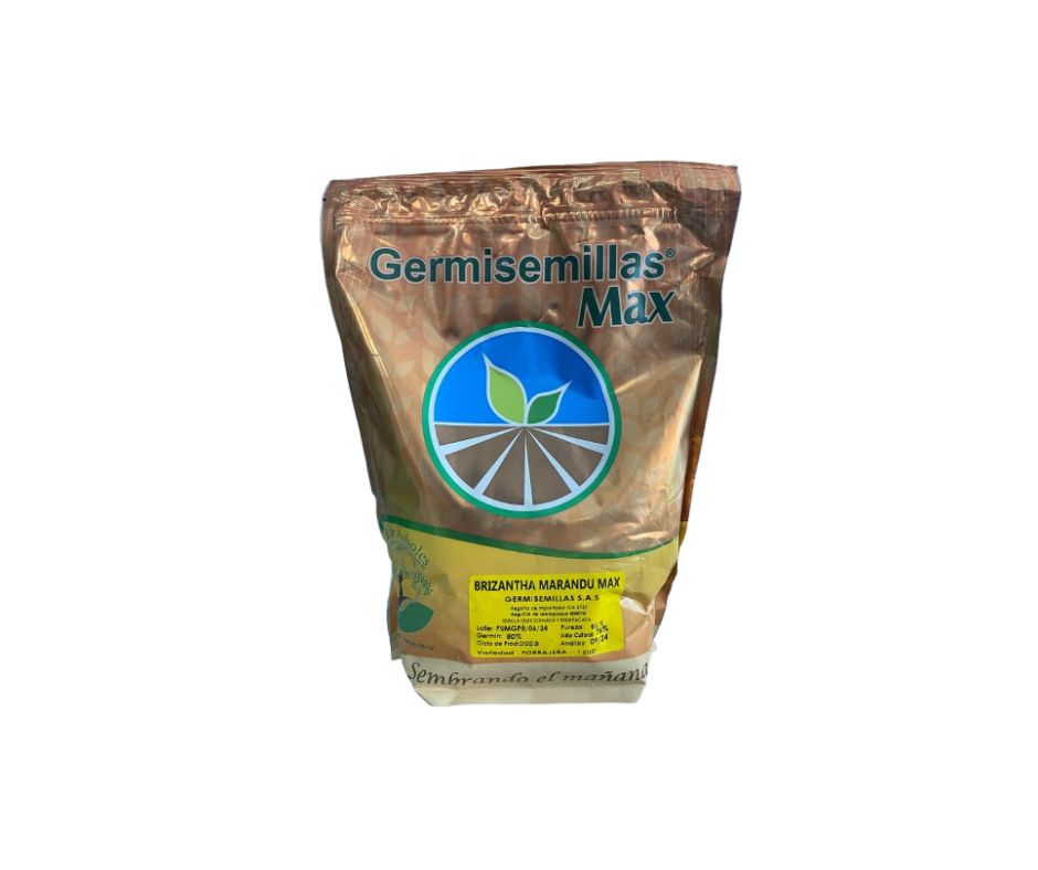 Germisemillas U. brizantha marandu max x 1kl