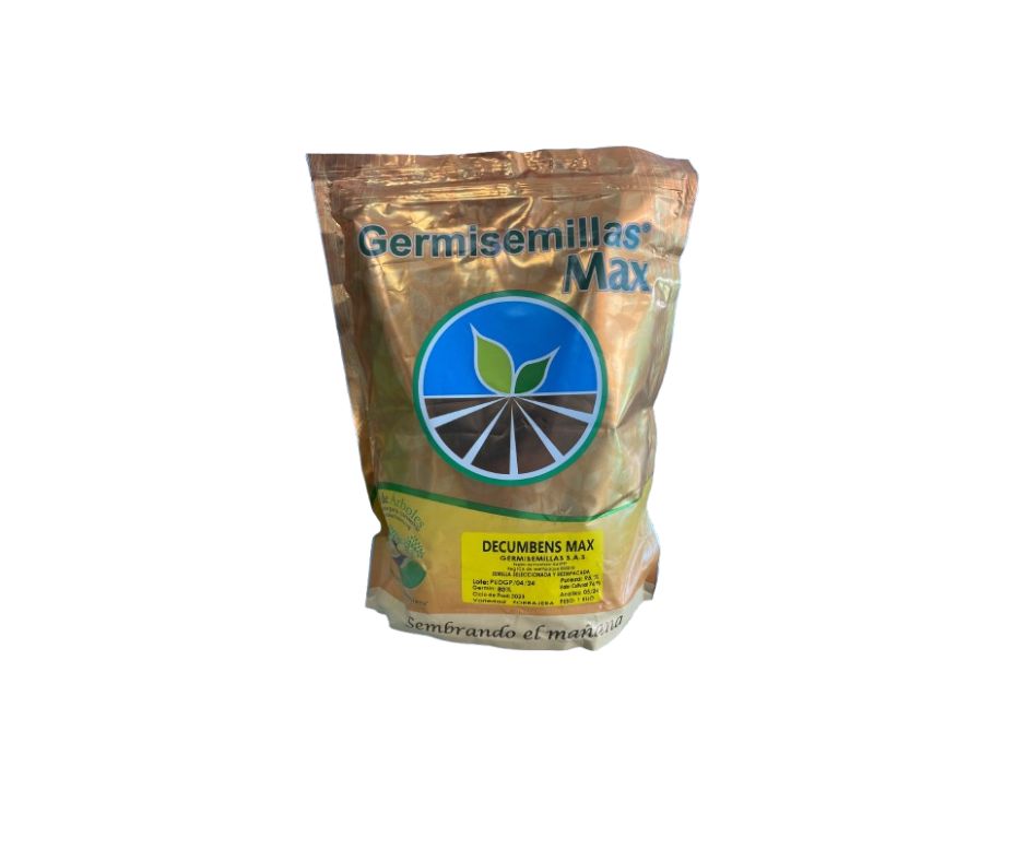Germisemillas U. decumbens max x 1 kg