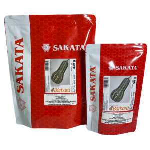 SAKATA AHUYAMA HIB BARBARA