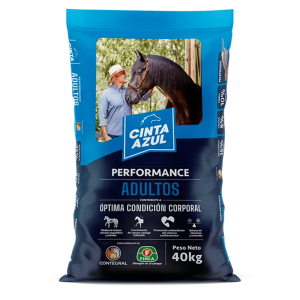 CINTA AZUL PERFORMANCE ADULTOS P X 40KG