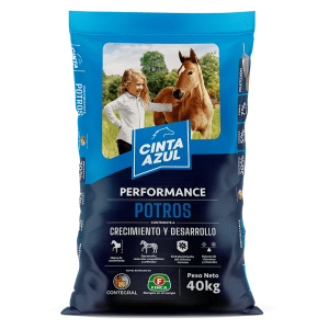 CINTA AZUL PERFORMANCE POTROS P X 40KG